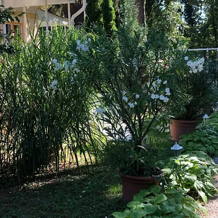 Szem-s Vendeghaz Guest house