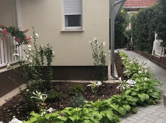 Szem-s Ueduelo Es Lakopark A Szem-s Vendeghaz Uj Neve Balatonszárszó